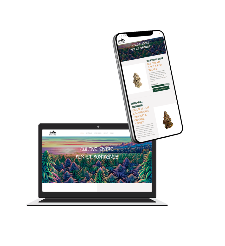 Conception sites web